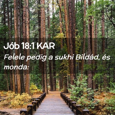 Picture 02 - Jób 18:1 KAR - Felele pedig a sukhi Bildád, és - Bible Verse Picture