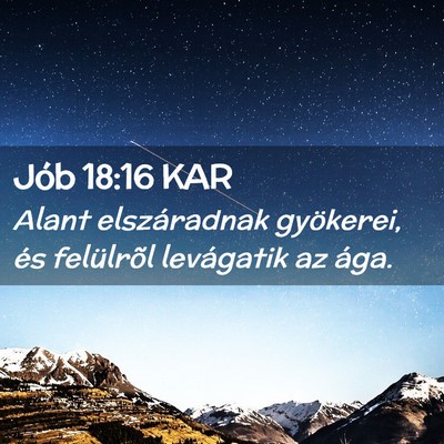 Picture 02 - Jób 18:16 KAR - Alant elszáradnak gyökerei, és felülrõl - Bible Verse Picture