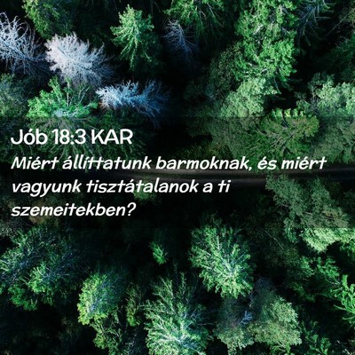 Picture 02 - Jób 18:3 KAR - Miért állíttatunk barmoknak, és miért - Bible Verse Picture