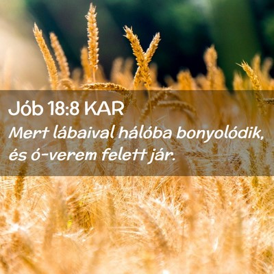 Picture 02 - Jób 18:8 KAR - Mert lábaival hálóba bonyolódik, és ó-verem - Bible Verse Picture