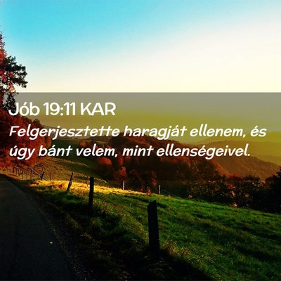 Picture 02 - Jób 19:11 KAR - Felgerjesztette haragját ellenem, és úgy bánt - Bible Verse Picture