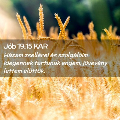 Picture 02 - Jób 19:15 KAR - Házam zsellérei és szolgálóim idegennek - Bible Verse Picture