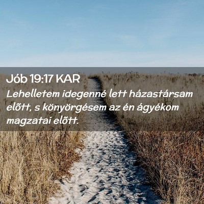 Picture 02 - Jób 19:17 KAR - Lehelletem idegenné lett házastársam elõtt, s - Bible Verse Picture