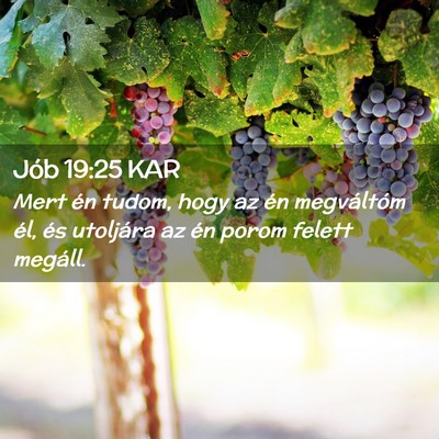 Picture 02 - Jób 19:25 KAR - Mert én tudom, hogy az én megváltóm él, és - Bible Verse Picture