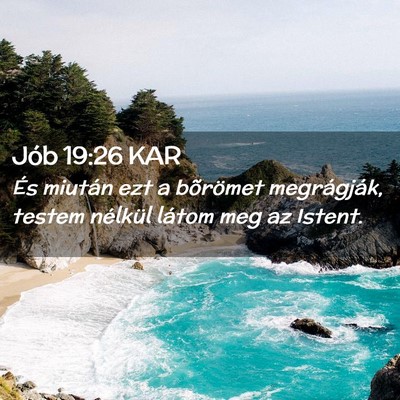 Picture 02 - Jób 19:26 KAR - És miután ezt a bõrömet megrágják, testem - Bible Verse Picture