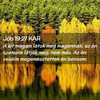 Picture 02 - Jób 19:27 KAR - A kit magam látok meg magamnak; az én szemeim - Bible Verse Picture