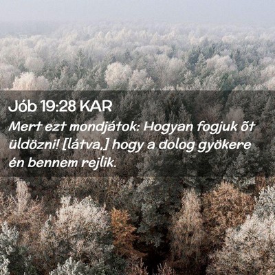 Picture 02 - Jób 19:28 KAR - Mert ezt mondjátok: Hogyan fogjuk õt üldözni! - Bible Verse Picture