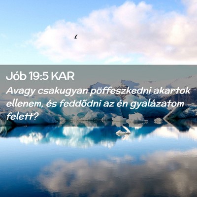 Picture 02 - Jób 19:5 KAR - Avagy csakugyan pöffeszkedni akartok ellenem, - Bible Verse Picture