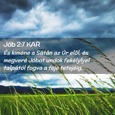 Picture 02 - Jób 2:7 KAR - És kiméne a Sátán az Úr elõl, és megveré - Bible Verse Picture