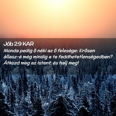 Picture 02 - Jób 2:9 KAR - Monda pedig õ néki az õ felesége: Erõsen - Bible Verse Picture