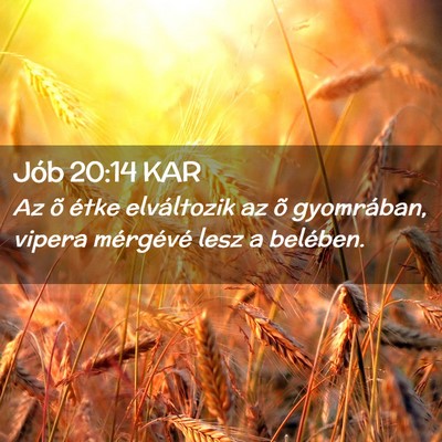 Picture 02 - Jób 20:14 KAR - Az õ étke elváltozik az õ gyomrában, vipera - Bible Verse Picture