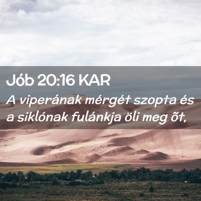 Picture 02 - Jób 20:16 KAR - A viperának mérgét szopta és a siklónak - Bible Verse Picture
