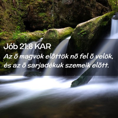 Picture 02 - Jób 21:8 KAR - Az õ magvok elõttök nõ fel õ velök, és az - Bible Verse Picture
