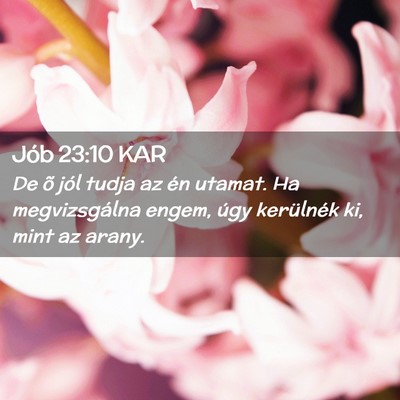 Picture 02 - Jób 23:10 KAR - De õ jól tudja az én utamat. Ha megvizsgálna - Bible Verse Picture