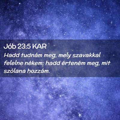 Picture 02 - Jób 23:5 KAR - Hadd tudnám meg, mely szavakkal felelne nékem; - Bible Verse Picture