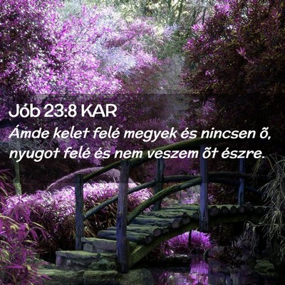 Picture 02 - Jób 23:8 KAR - Ámde kelet felé megyek és nincsen õ, nyugot - Bible Verse Picture