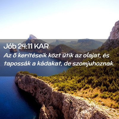 Picture 02 - Jób 24:11 KAR - Az õ kerítéseik közt ütik az olajat, és - Bible Verse Picture