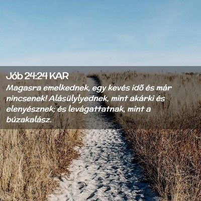 Picture 02 - Jób 24:24 KAR - Magasra emelkednek, egy kevés idõ és már - Bible Verse Picture