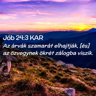 Picture 02 - Jób 24:3 KAR - Az árvák szamarát elhajtják, [és] az - Bible Verse Picture