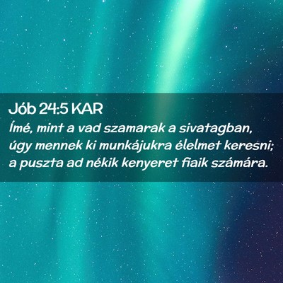 Picture 02 - Jób 24:5 KAR - Ímé, mint a vad szamarak a sivatagban, úgy - Bible Verse Picture