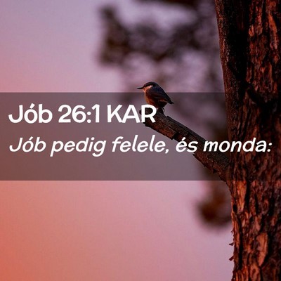 Picture 02 - Jób 26:1 KAR - Jób pedig felele, és - Bible Verse Picture