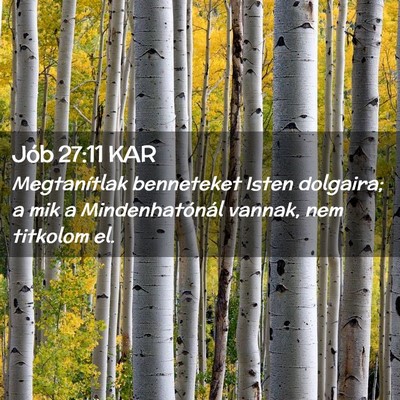 Picture 02 - Jób 27:11 KAR - Megtanítlak benneteket Isten dolgaira; a mik a - Bible Verse Picture