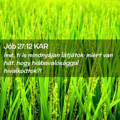 Picture 02 - Jób 27:12 KAR - Ímé, ti is mindnyájan látjátok: miért van - Bible Verse Picture