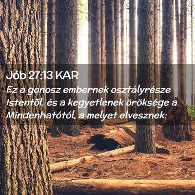 Picture 02 - Jób 27:13 KAR - Ez a gonosz embernek osztályrésze Istentõl, - Bible Verse Picture