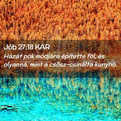 Picture 02 - Jób 27:18 KAR - Házát pók módjára építette föl, és - Bible Verse Picture