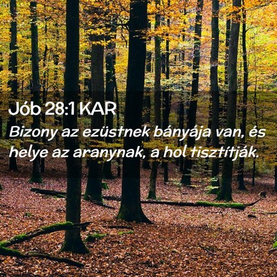 Picture 02 - Jób 28:1 KAR - Bizony az ezüstnek bányája van, és helye az - Bible Verse Picture