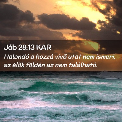 Picture 02 - Jób 28:13 KAR - Halandó a hozzá vivõ utat nem ismeri, az - Bible Verse Picture