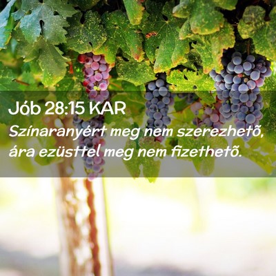 Picture 02 - Jób 28:15 KAR - Színaranyért meg nem szerezhetõ, ára - Bible Verse Picture