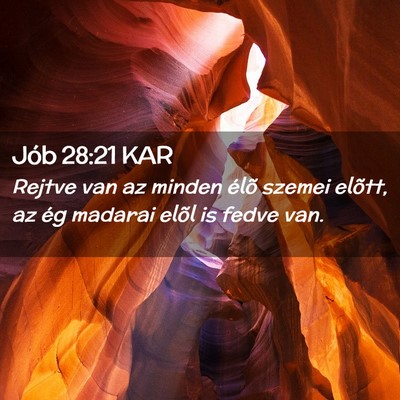 Picture 02 - Jób 28:21 KAR - Rejtve van az minden élõ szemei elõtt, az ég - Bible Verse Picture