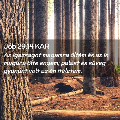 Picture 02 - Jób 29:14 KAR - Az igazságot magamra öltém és az is magára - Bible Verse Picture