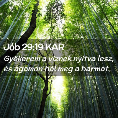 Picture 02 - Jób 29:19 KAR - Gyökerem a víznek nyitva lesz, és ágamon hál - Bible Verse Picture