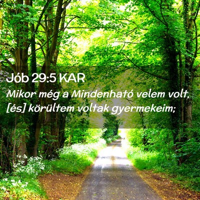 Picture 02 - Jób 29:5 KAR - Mikor még a Mindenható velem volt, [és] - Bible Verse Picture