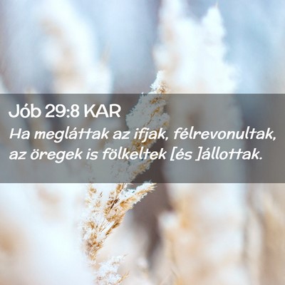 Picture 02 - Jób 29:8 KAR - Ha megláttak az ifjak, félrevonultak, az - Bible Verse Picture