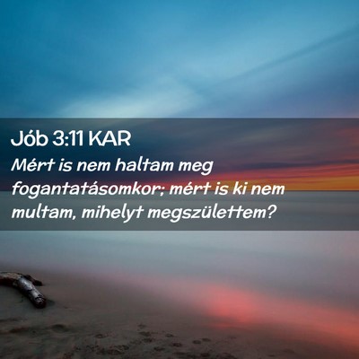 Picture 02 - Jób 3:11 KAR - Mért is nem haltam meg fogantatásomkor; mért - Bible Verse Picture