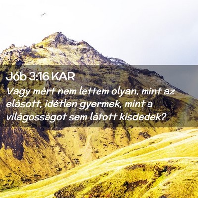 Picture 02 - Jób 3:16 KAR - Vagy mért nem lettem olyan, mint az elásott, - Bible Verse Picture