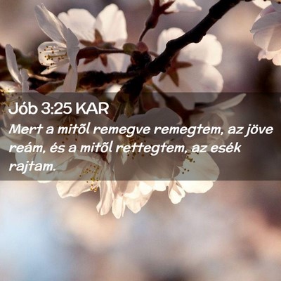 Picture 02 - Jób 3:25 KAR - Mert a mitõl remegve remegtem, az jöve reám, - Bible Verse Picture