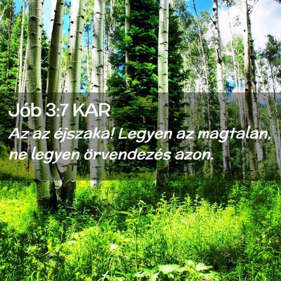 Picture 02 - Jób 3:7 KAR - Az az éjszaka! Legyen az magtalan, ne legyen - Bible Verse Picture