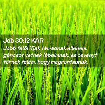 Picture 02 - Jób 30:12 KAR - Jobb felõl ifjak támadnak ellenem, gáncsot - Bible Verse Picture