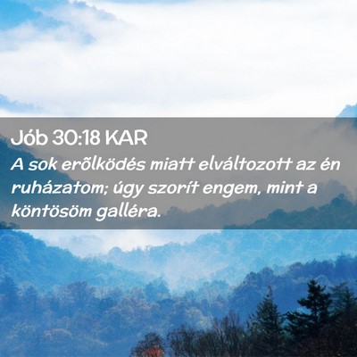 Picture 02 - Jób 30:18 KAR - A sok erõlködés miatt elváltozott az én - Bible Verse Picture