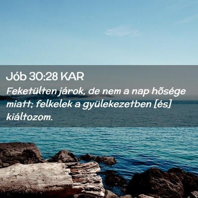 Picture 02 - Jób 30:28 KAR - Feketülten járok, de nem a nap hõsége miatt; - Bible Verse Picture