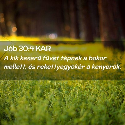 Picture 02 - Jób 30:4 KAR - A kik keserû füvet tépnek a bokor mellett, és - Bible Verse Picture