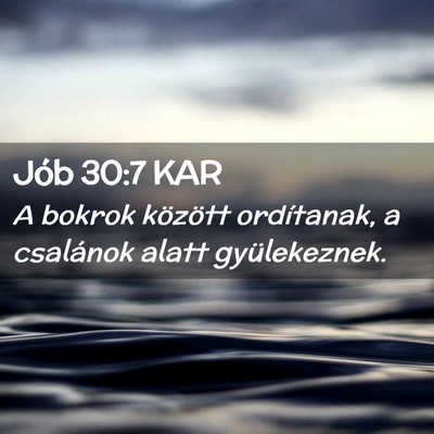 Picture 02 - Jób 30:7 KAR - A bokrok között ordítanak, a csalánok alatt - Bible Verse Picture