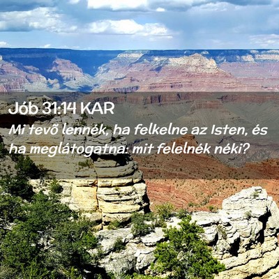 Picture 02 - Jób 31:14 KAR - Mi tevõ lennék, ha felkelne az Isten, és ha - Bible Verse Picture