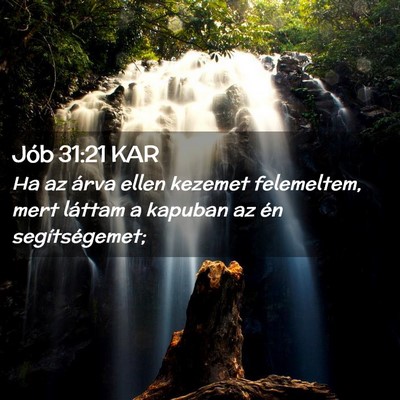 Picture 02 - Jób 31:21 KAR - Ha az árva ellen kezemet felemeltem, mert - Bible Verse Picture