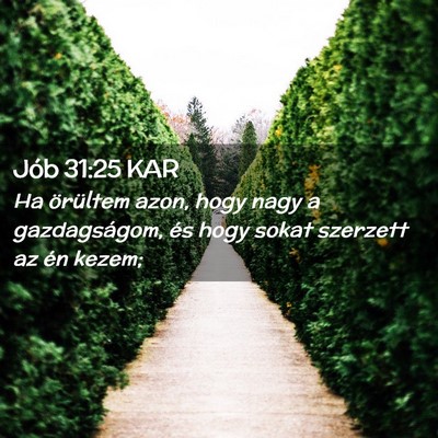 Picture 02 - Jób 31:25 KAR - Ha örültem azon, hogy nagy a gazdagságom, és - Bible Verse Picture
