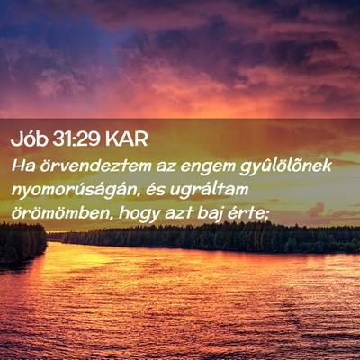 Picture 02 - Jób 31:29 KAR - Ha örvendeztem az engem gyûlölõnek - Bible Verse Picture